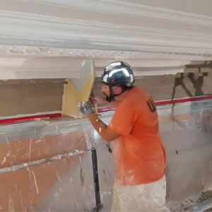 Ornamental Plaster Contractor