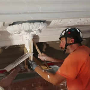 Ornamental Plaster Contractor