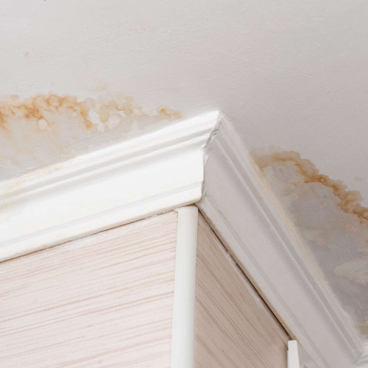 water damaged ceiling repair eugene oregon