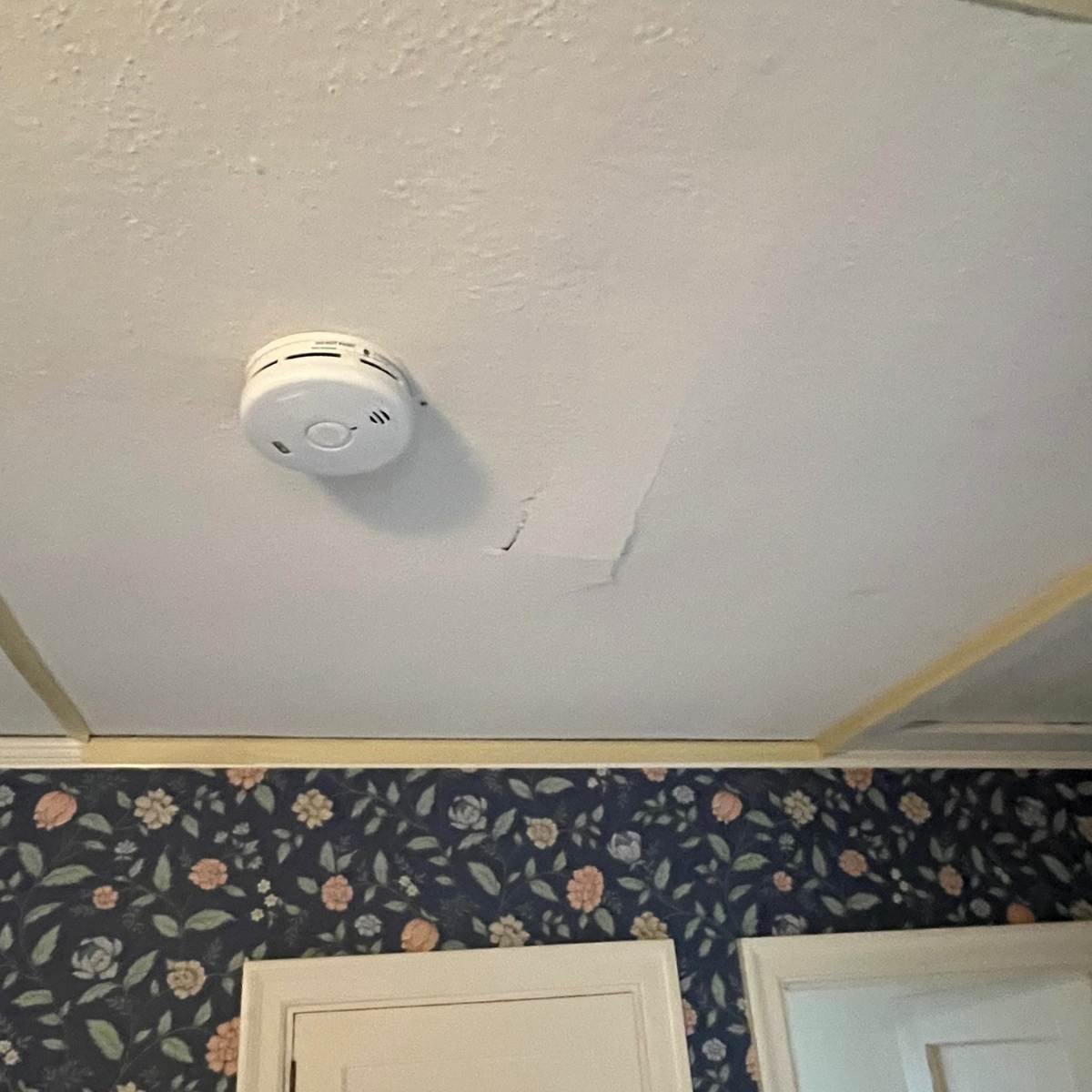 water damaged ceiling repair eugene oregon